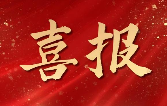 TOP 12！中节能永利yl23455荣登中国品牌价值 “其他服务类”